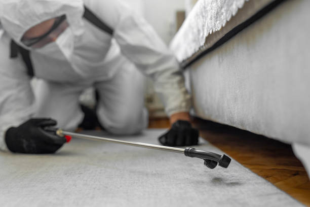 Professional Termite Control technician working in Shepherd, TX